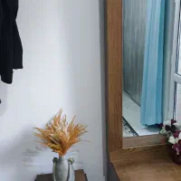 آیینه قدی کشودار|آینه|تهران, آهنگران (سراسیاب دولاب)|دیوار
