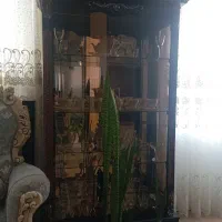 بوفه سالم ونو