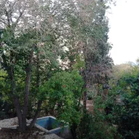باغچه با زمین مسکونی ورامین روستای هفتجوبه|فروش زمین و ملک کلنگی|جوادآباد, |دیوار