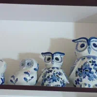 جغدهای اروپایی رو نگاه