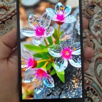 گوشی سامسونگ a26