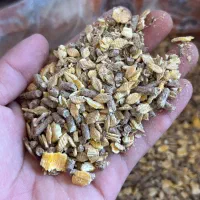 خوراک دام اجیلی درجه یک مستقیم از تولیدی