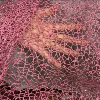 تور شنی قواره کوردی