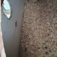 قفس بزرگ مخصوص|لوازم جانبی حیوانات|تهران, تهرانسر شمالی|دیوار