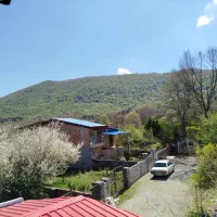 ویلا تک خواب جنگلی