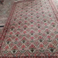 فروش فرش دست باف|فرش|سنندج, |دیوار