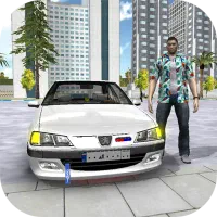 راننده خانم یا آقا با خودرو یا بدون خودرو