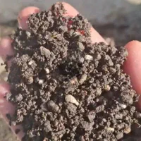 هیومیک اسید اصلاح خاک