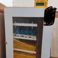 دستگاه جوجه کشی