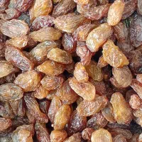 کشمش آفتابی با کیفیت