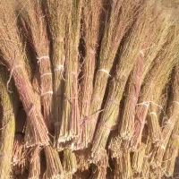 جاروی بلند|لوازم نظافت|یاسوج, |دیوار