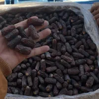 خرمای پیارم حاجی اباد