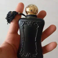 انواع ادکلن و عطر مارک های مختلف /دو تا آخری شیشه|آرایشی، بهداشتی، درمانی|تهران, آشتیانی|دیوار