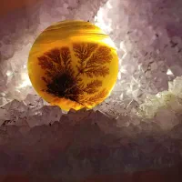 فروش سنگهای شجر