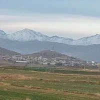 فروش یک قطعه زمین کشاورزی آبی به مساحت 31000 متر|فروش دفتر صنعتی، کشاورزی، تجاری|قلقل رود, |دیوار