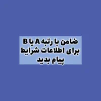 ضامن با رتبه اعتباری A یا B