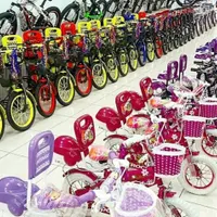 دوچرخه بچگانه 12 و16 و20آکبندخیری هفتون