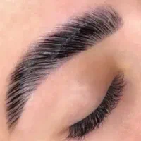 کاشت مژه،لیفت مژه وابرو|خدمات آرایشگری و زیبایی|قم, هفت تیر|دیوار