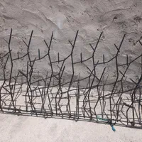 حفاظ دیواری ( شاخ گوزنی )|مصالح و تجهیزات ساختمان|قائن, |دیوار