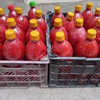 رب تازه تازه