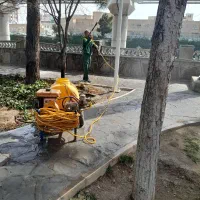 باغبانی پاکسازی باغچه علف زنی تعویض گلدان|خدمات باغبانی و درختکاری|قم, زینبیه|دیوار