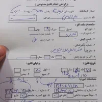 گاو آبستن|حیوانات مزرعه|ماهیدشت, |دیوار