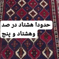 قالی دستبافت|فرش|کرمان, |دیوار