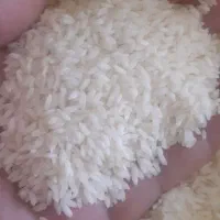 برنج محلی برنج عنبربو معطر شوشتر