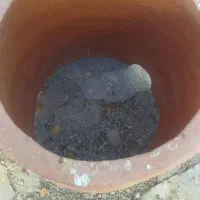 تنور|اجاق گاز و لوازم برقی پخت‌وپز|ماهدشت, |دیوار