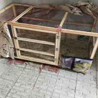 قفس جای مرغ