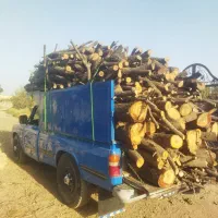 هرسوبرشدرخت