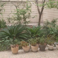آپارتمان مبله ۲ خوابه محدوده هروی|اجارهٔ کوتاه‌مدت آپارتمان و سوئیت|تهران, شمس‌آباد|دیوار