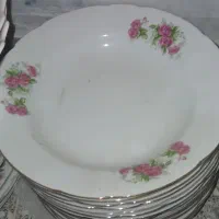 ظروف گلسرخ گل سرخ گلسرخی گل سرخی|ظروف سرو و پذیرایی|قم, باجک دو|دیوار