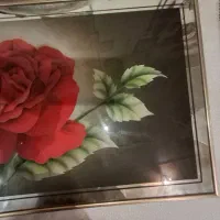 شش عدد تابلو سالم