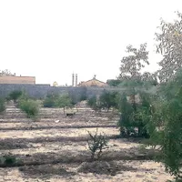 باغ بزرگ مجوز دار واقع در برسیان|فروش زمین و ملک کلنگی|اصفهان, براآن شمالی|دیوار