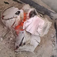 زغال انگور  زغال  قلیان