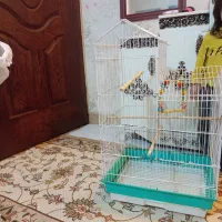 قفس بزرگ پرنده