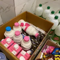 فروش محصولات لبنی تاریخ گذشته مناسب سگ و گربه
