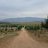 زمین-قصر-سبز-دانشگاه-علوم-پزشکی