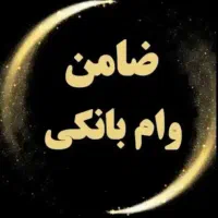 ضامن وام شراکتی