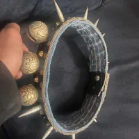 قلاده دوسه تا از خار هاش کم شده|لوازم جانبی حیوانات|گنبد کاووس, |دیوار