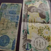 کلکسیون سکه واسکناس