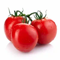 نشا گوجه‌فرنگی