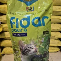 فیدای گربه بالغ ۱۰ کیلویی