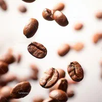 پخش عمده قهوه