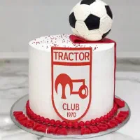 کیک خانگی آماده همکاری با مغازه های قنادی