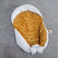 آغوشی سوئیسی