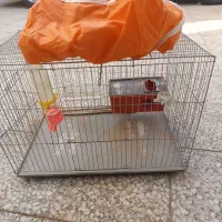 قفس حیوانات|لوازم جانبی حیوانات|اقبالیه, |دیوار