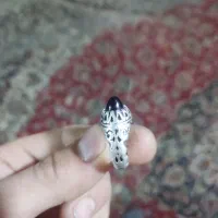 انگشتر نقره مردانه