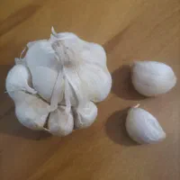 راهنمایی کنید. ممنون